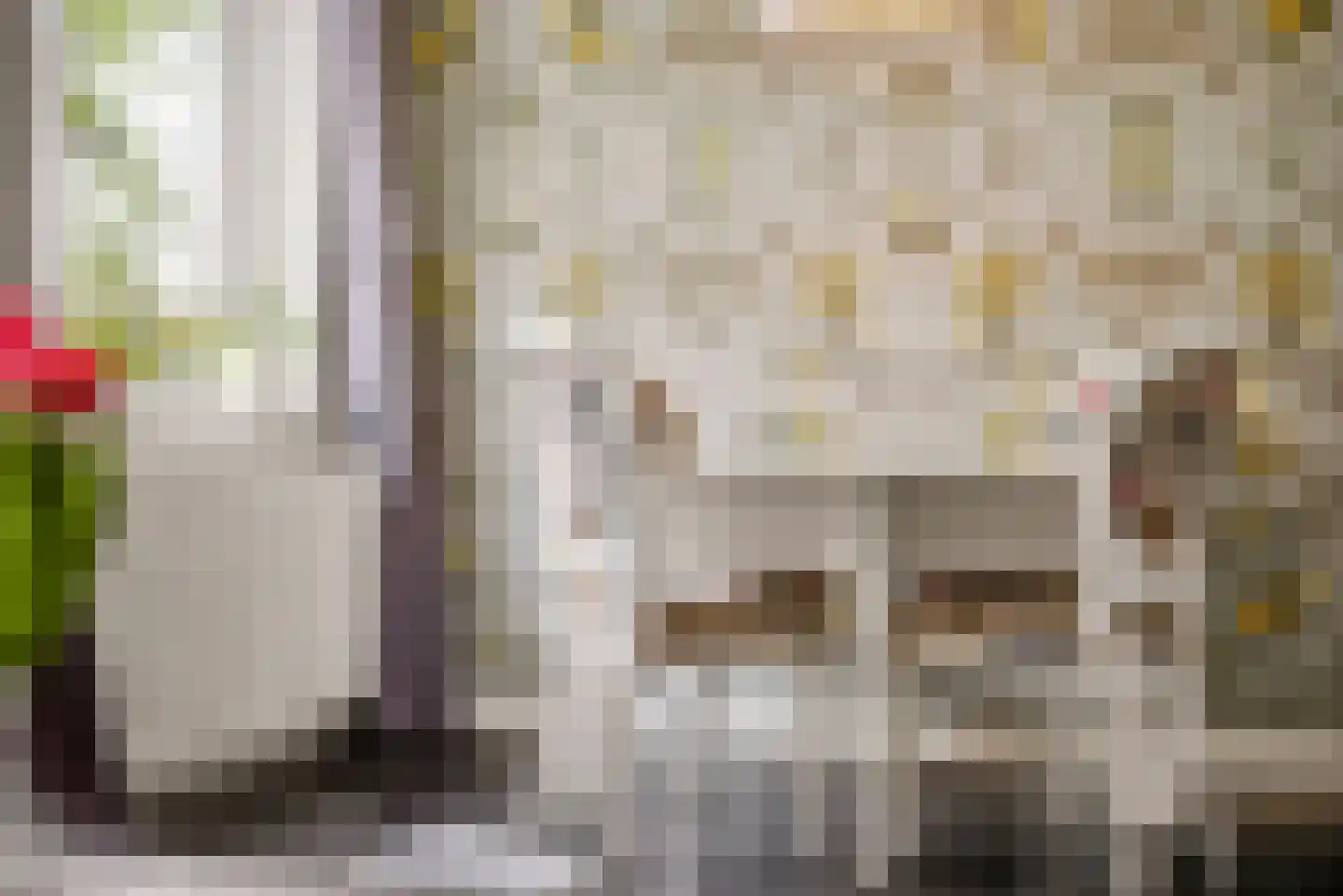 Onder de Linden 53 E Arnhem thumbnail 10