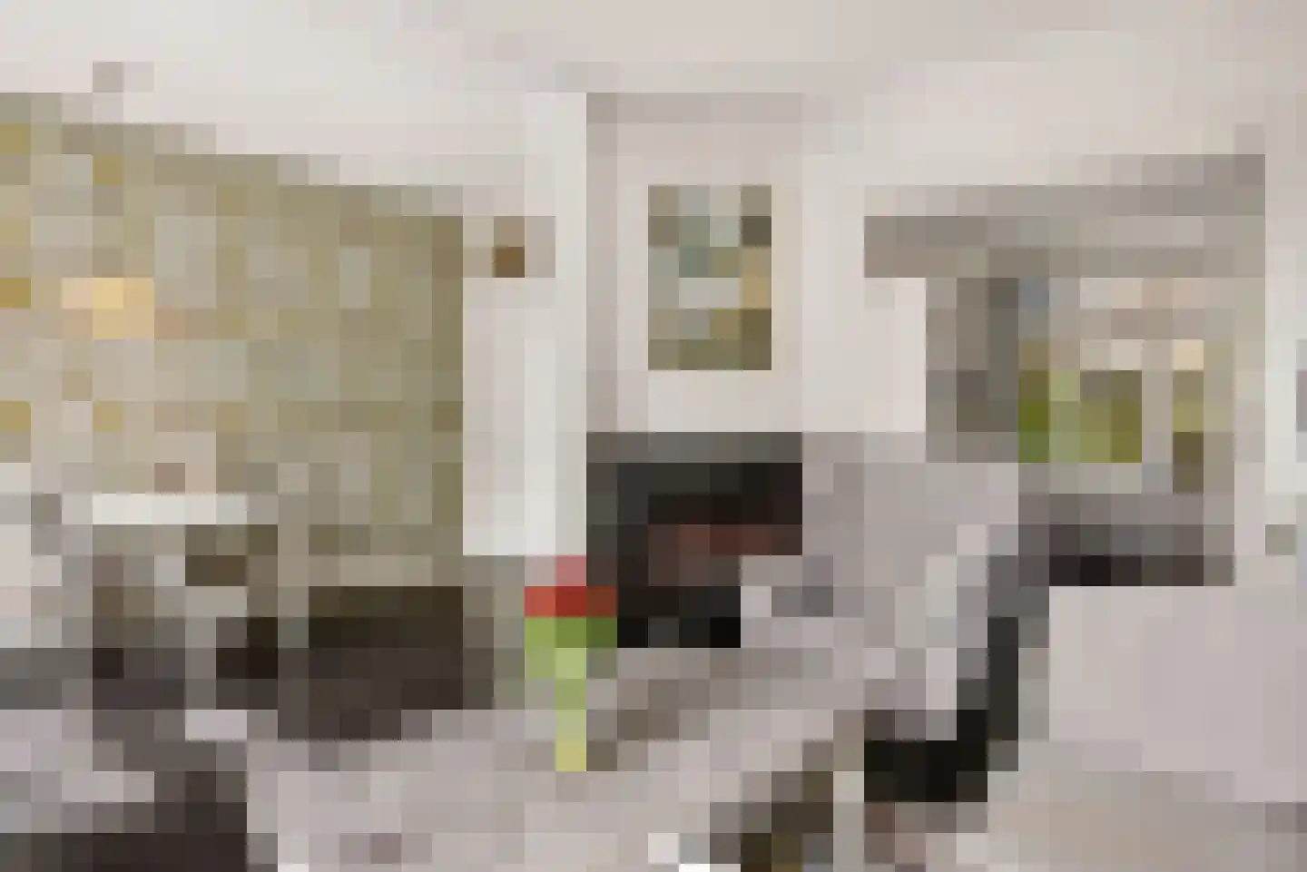 Onder de Linden 53 E Arnhem thumbnail 11