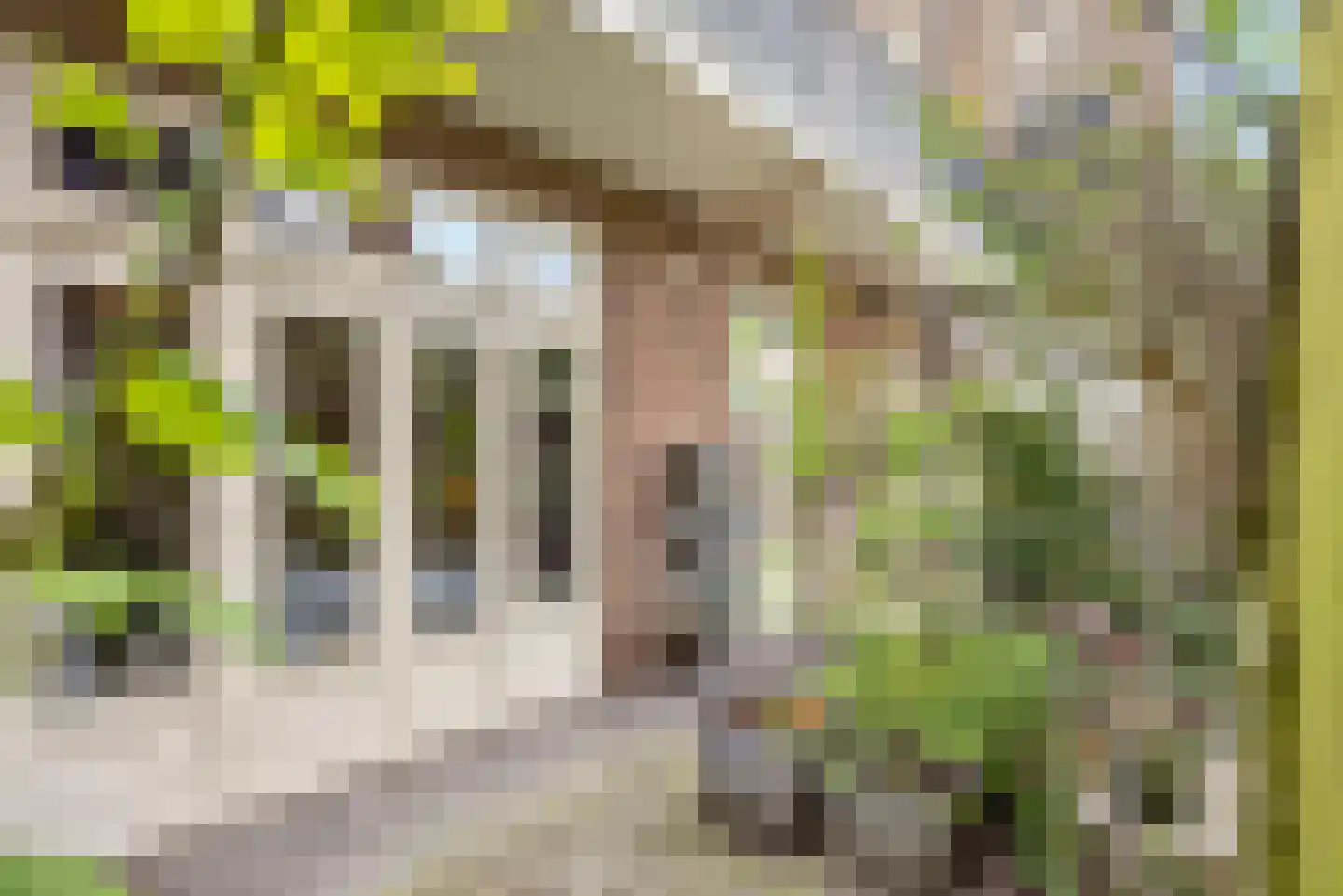 Onder de Linden 53 E Arnhem thumbnail 22
