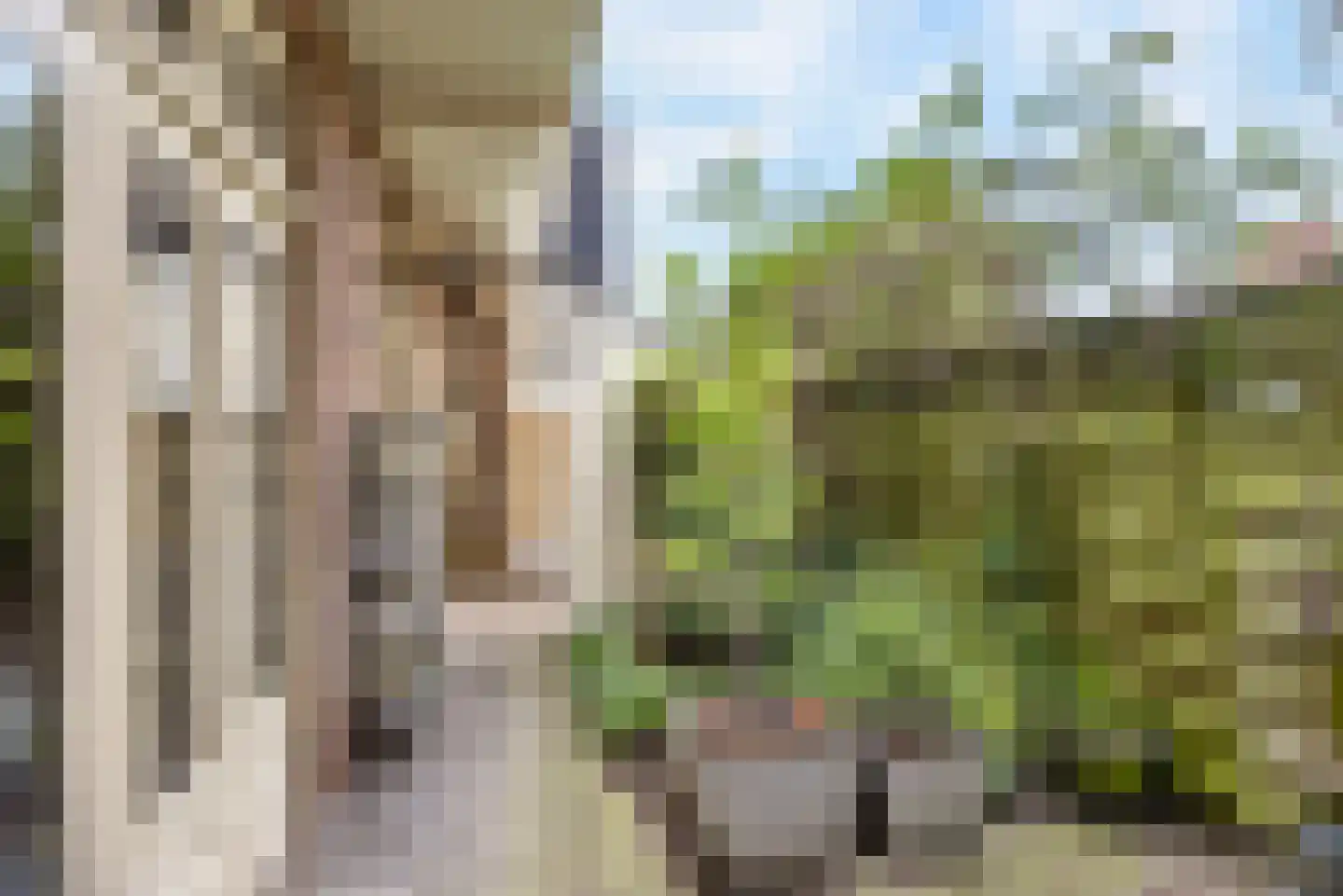 Onder de Linden 53 E Arnhem thumbnail 23