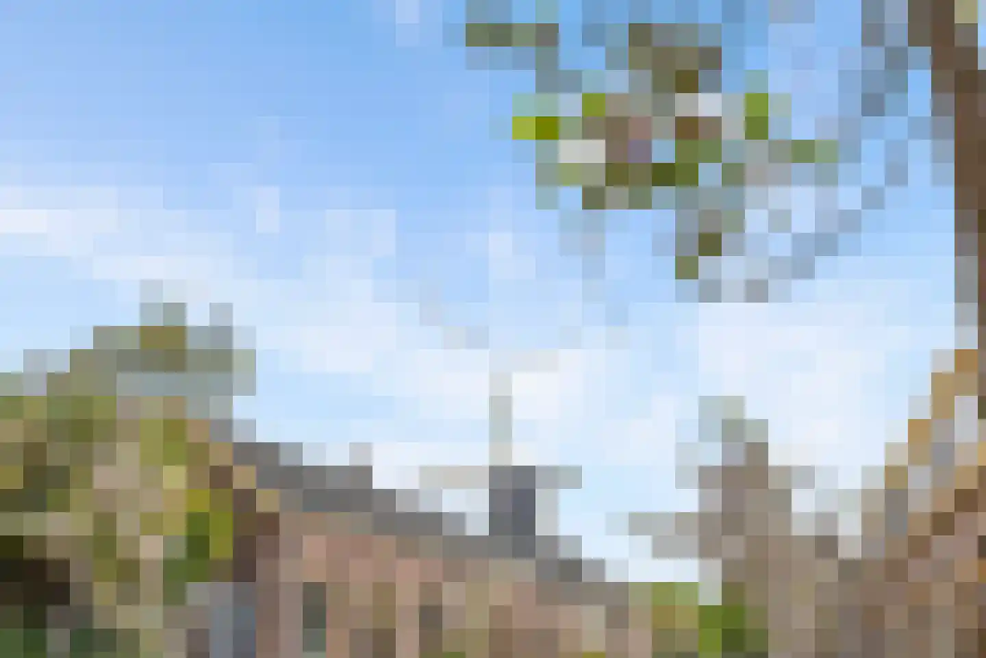Onder de Linden 53 E Arnhem thumbnail 28