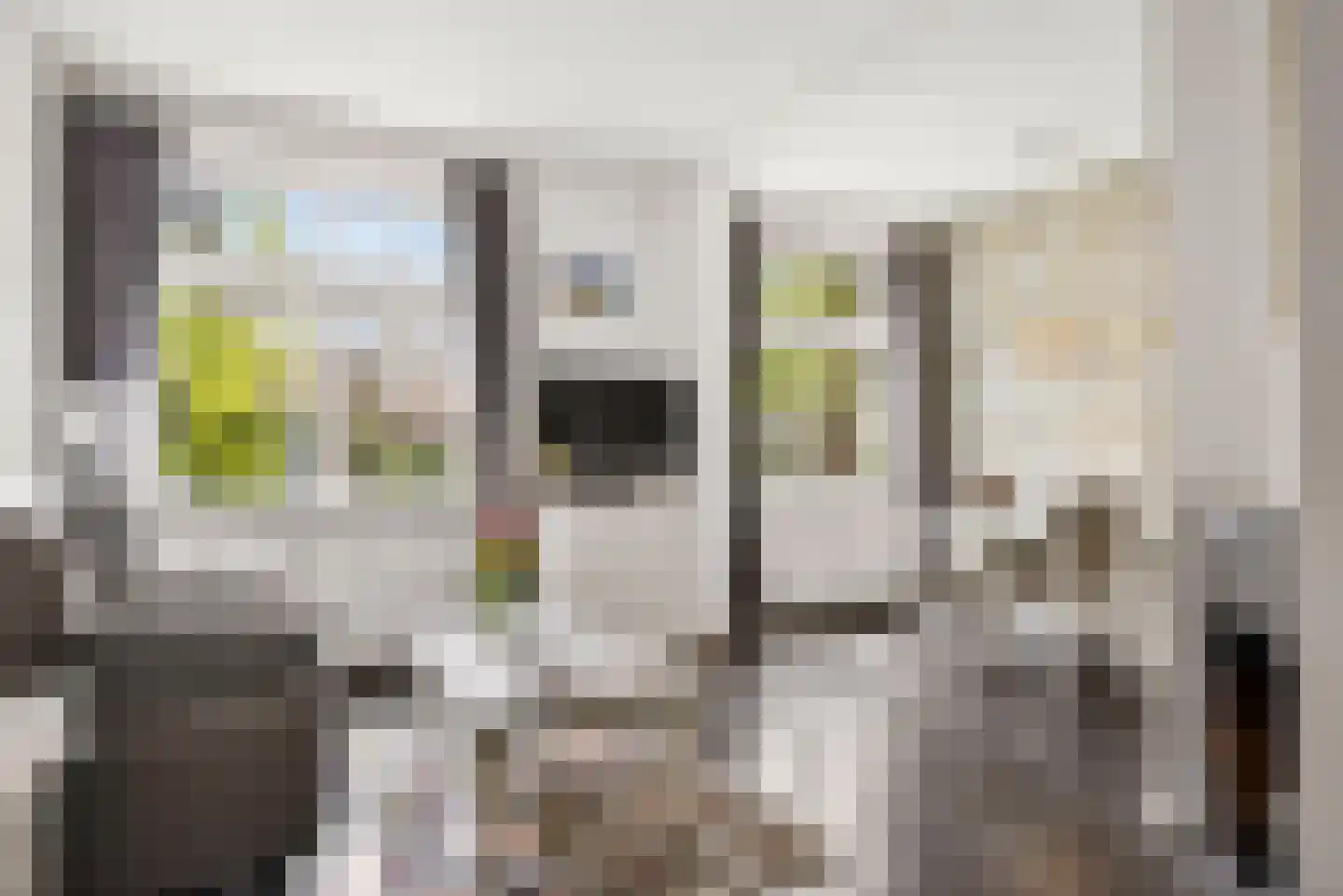 Onder de Linden 53 E Arnhem thumbnail 9