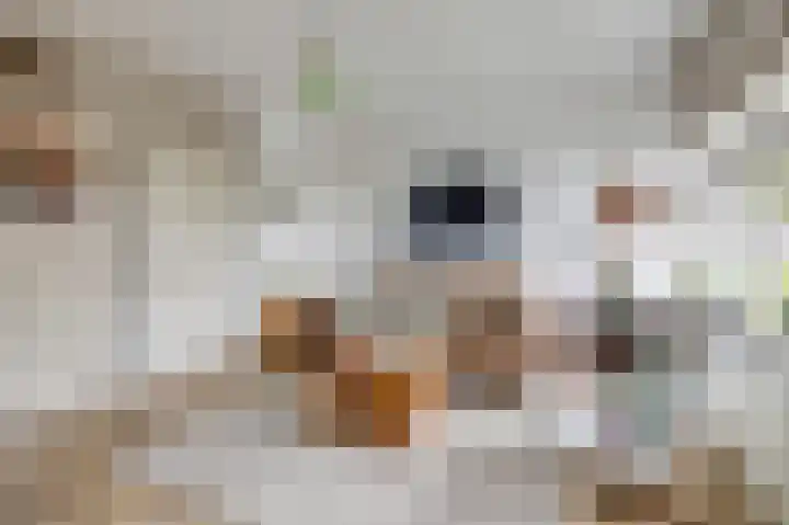 Onder de Linden 53 G Arnhem thumbnail 12