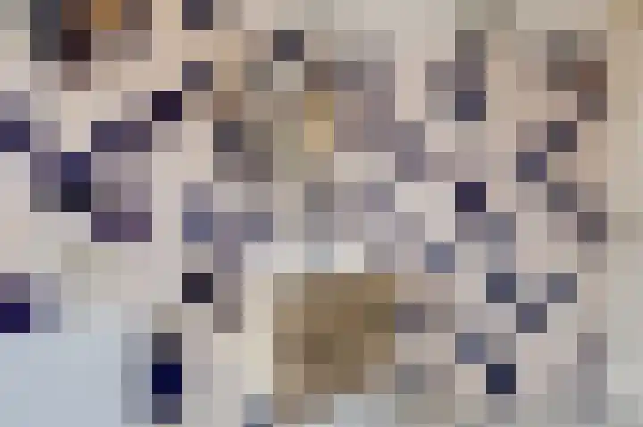 Onder de Linden 53 G Arnhem thumbnail 26
