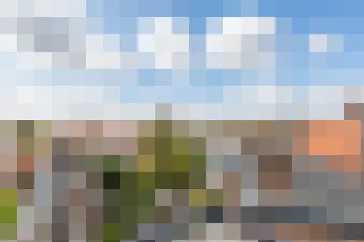 Onder de Linden 53 G Arnhem thumbnail 5
