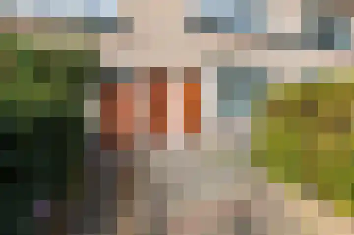 Onder de Linden 53 G Arnhem thumbnail 8