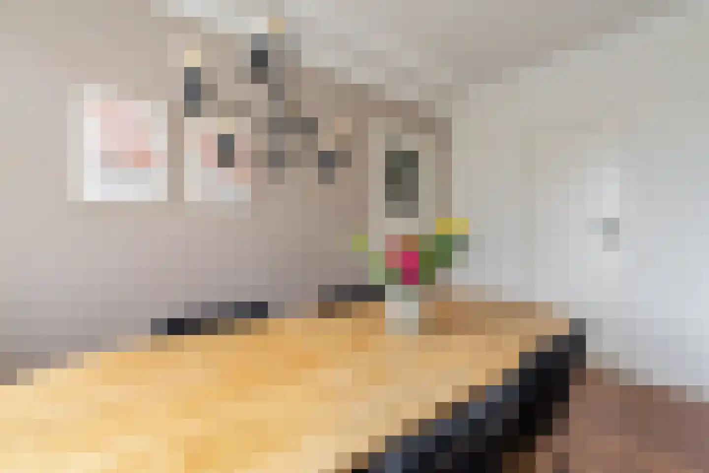 Onder de Linden 53 H Arnhem thumbnail 13