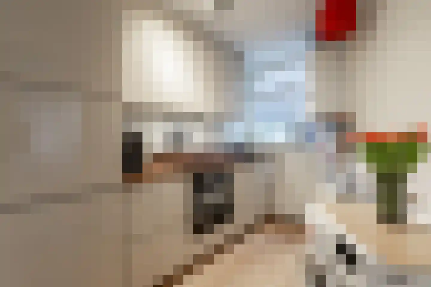 Onder de Linden 53 H Arnhem thumbnail 14