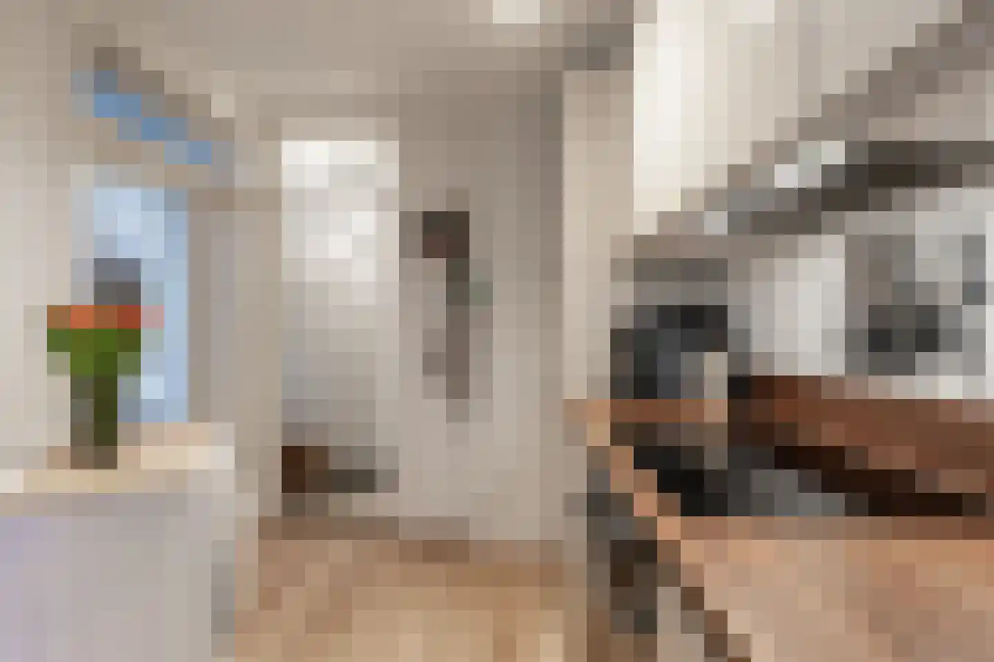 Onder de Linden 53 H Arnhem thumbnail 15