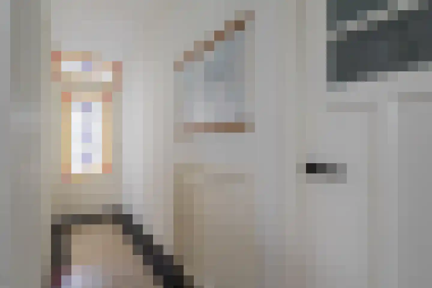 Onder de Linden 53 H Arnhem thumbnail 4