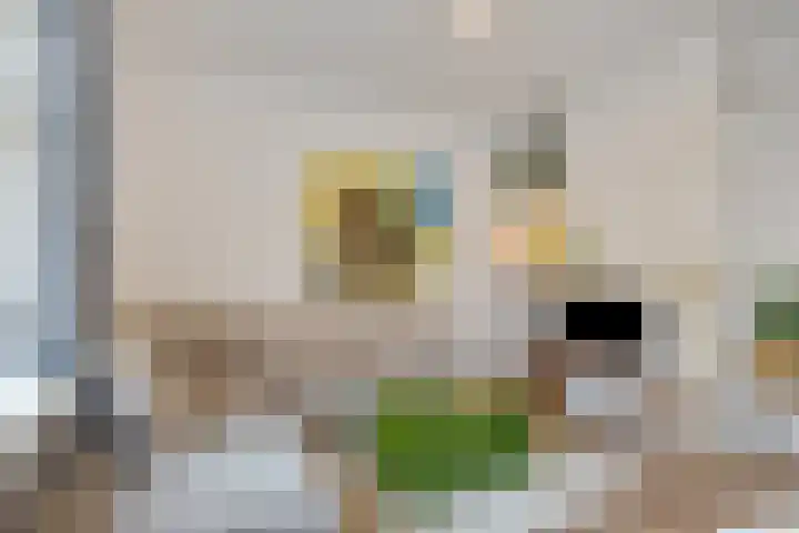 Onder de Linden 53 I Arnhem thumbnail 8