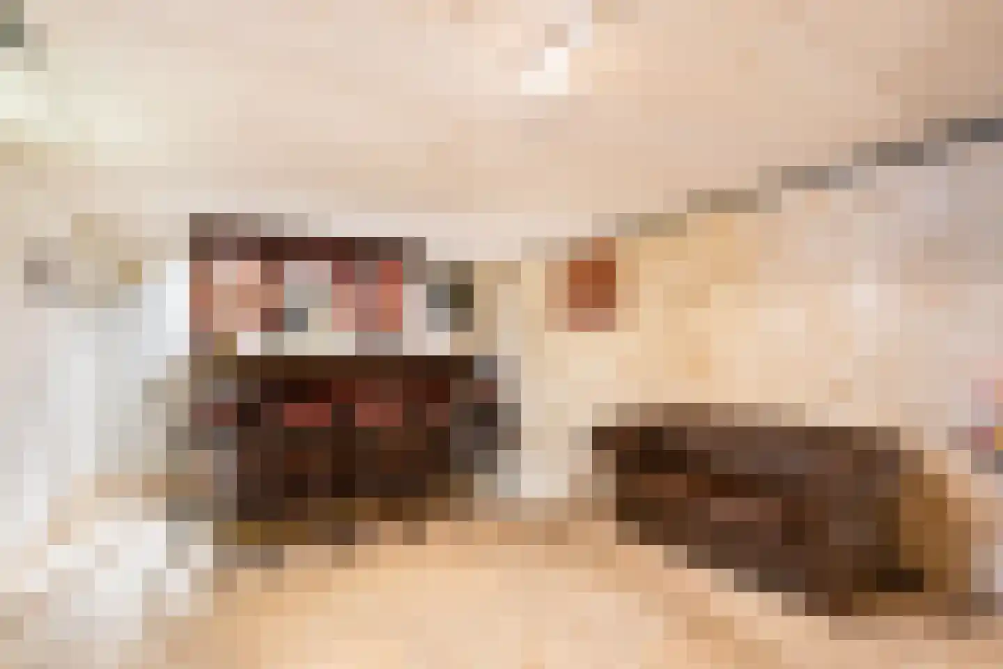 Onder de Linden 6 Krimpen aan den IJssel thumbnail 11