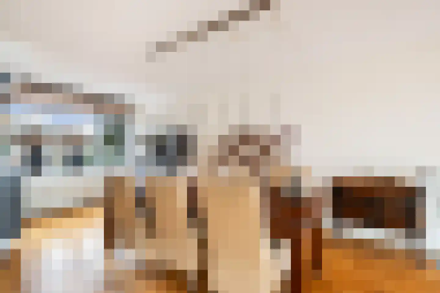 Onder de Linden 6 Krimpen aan den IJssel thumbnail 12