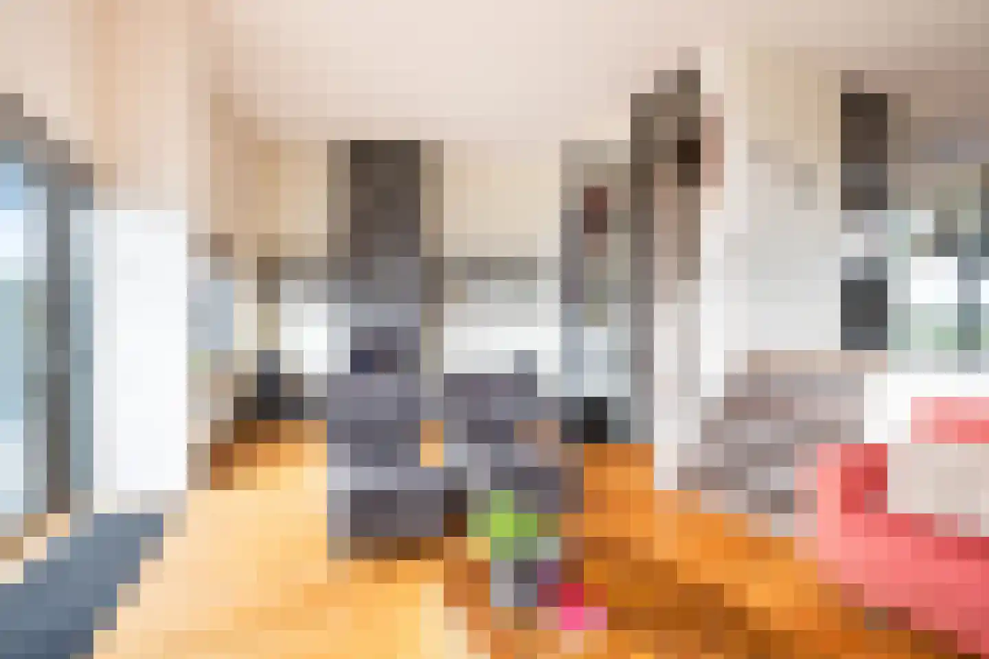 Onder de Linden 6 Krimpen aan den IJssel thumbnail 14