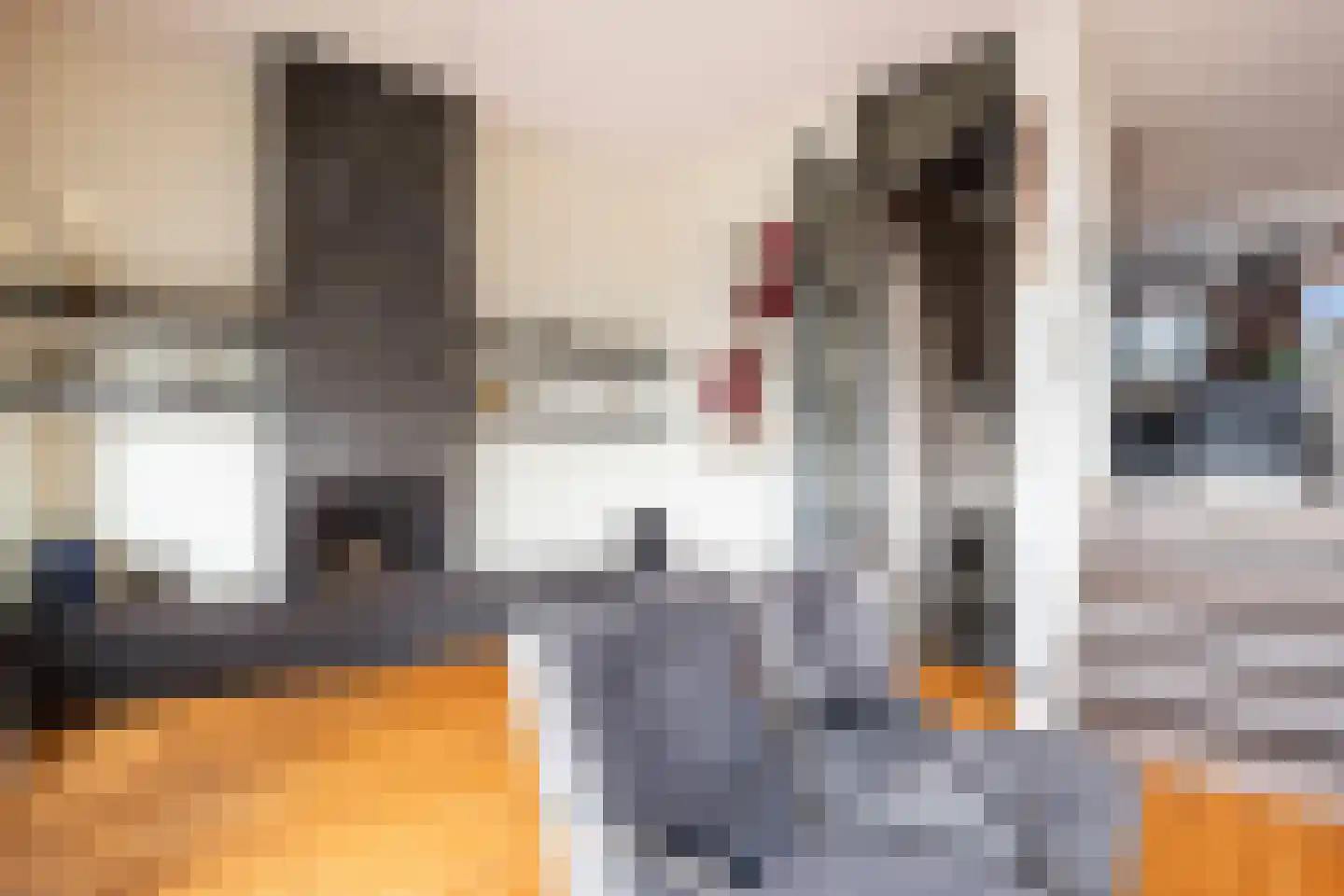 Onder de Linden 6 Krimpen aan den IJssel thumbnail 16