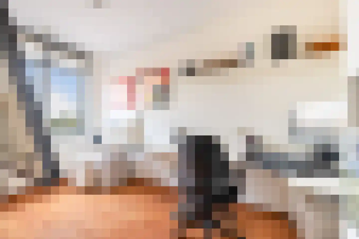 Onder de Linden 6 Krimpen aan den IJssel thumbnail 27