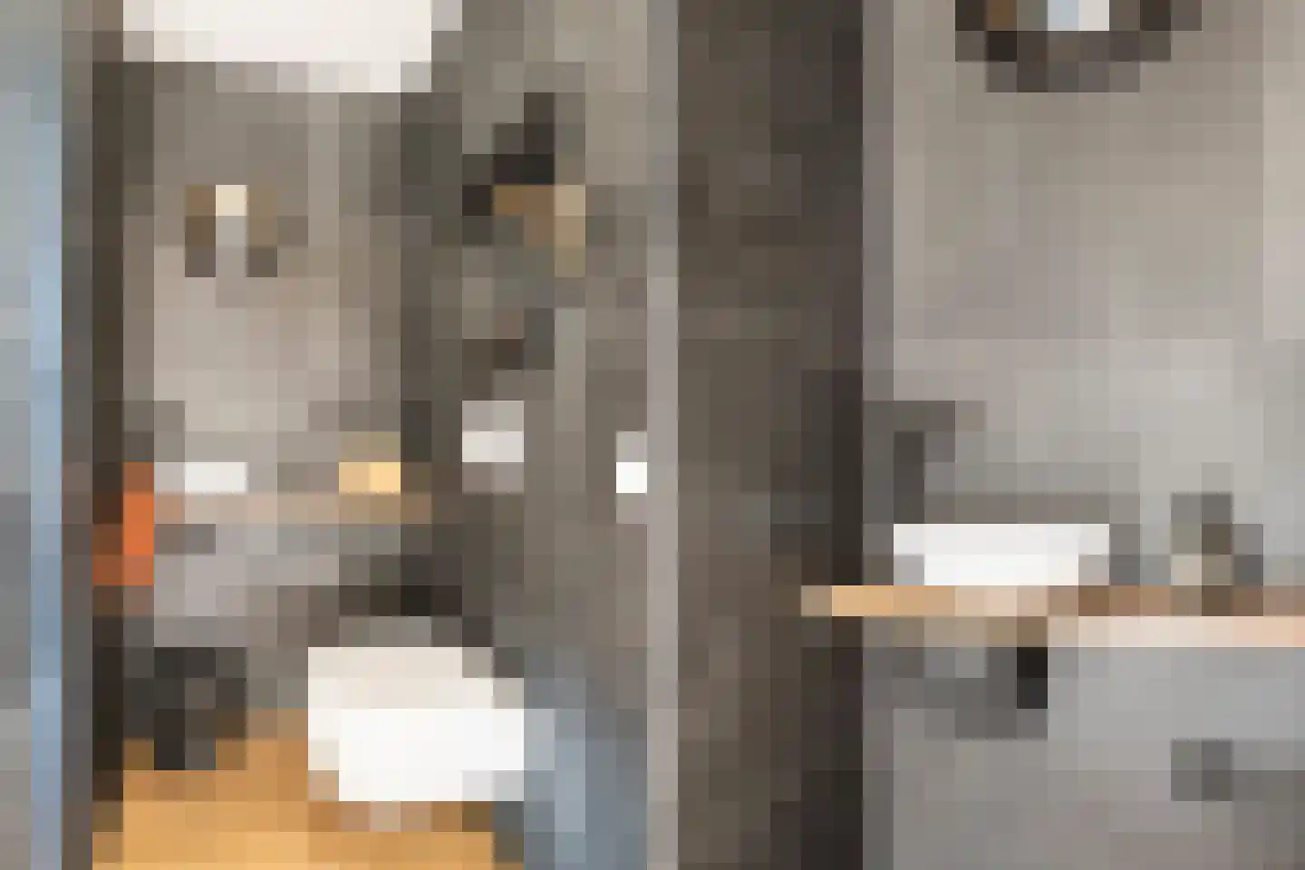 Onder de Linden 6 Krimpen aan den IJssel thumbnail 31