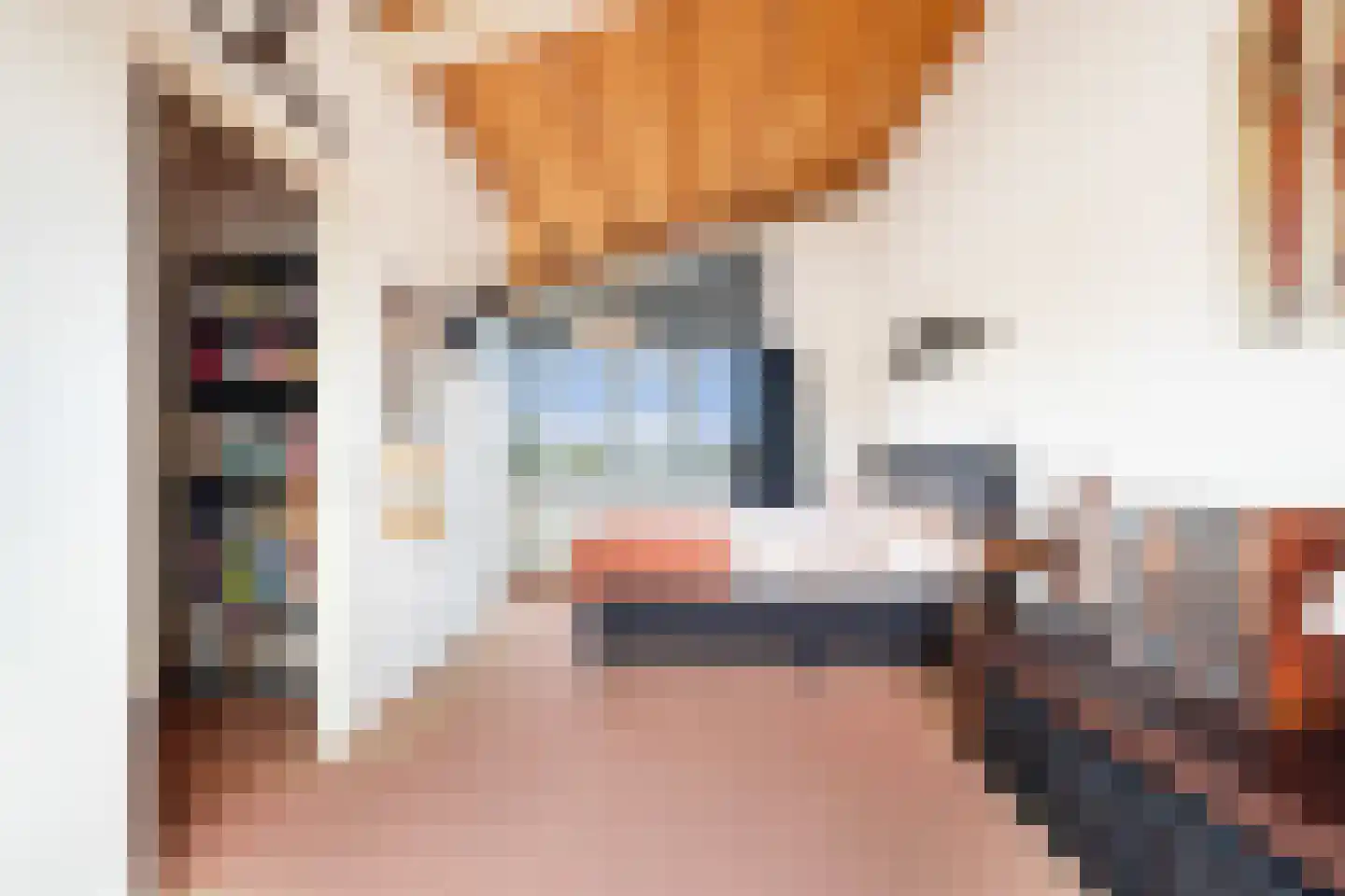 Onder de Linden 6 Krimpen aan den IJssel thumbnail 34