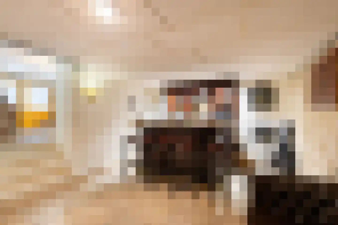Onder de Linden 6 Krimpen aan den IJssel thumbnail 41