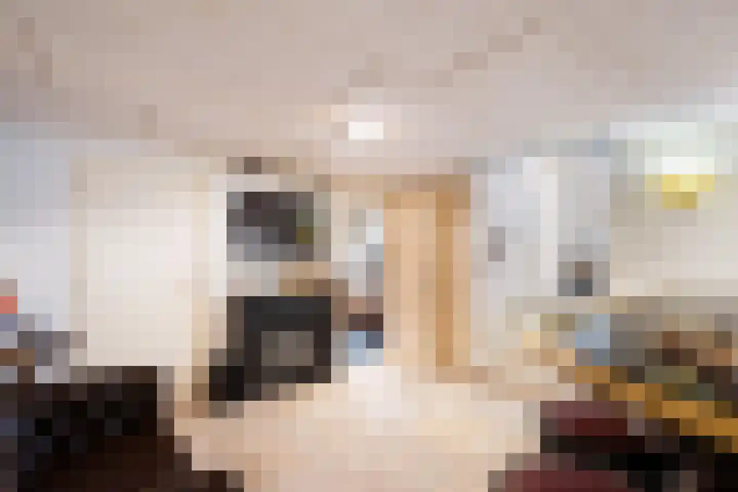 Onder de Linden 6 Krimpen aan den IJssel thumbnail 42