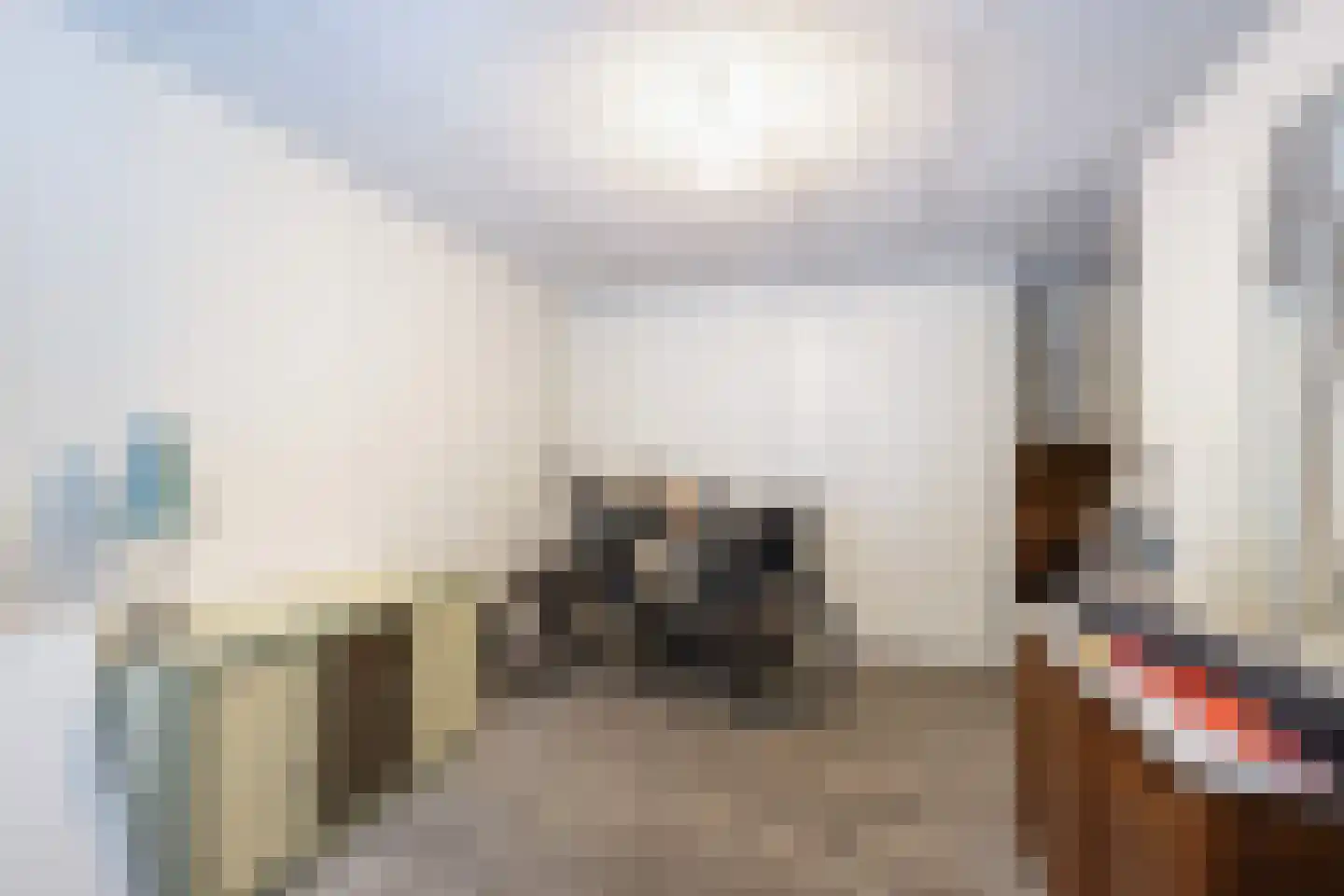 Onder de Linden 6 Krimpen aan den IJssel thumbnail 44
