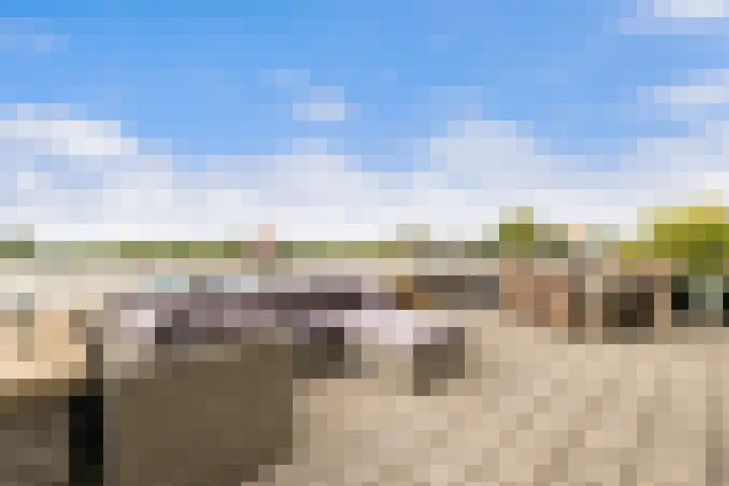 Onder de Linden 6 Krimpen aan den IJssel thumbnail 47