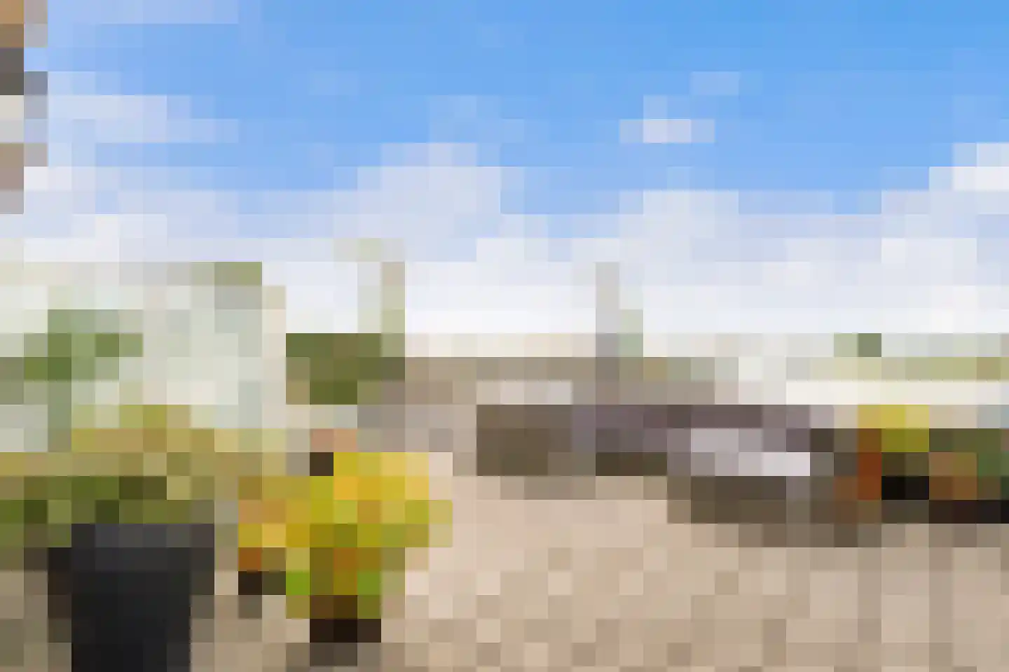 Onder de Linden 6 Krimpen aan den IJssel thumbnail 48