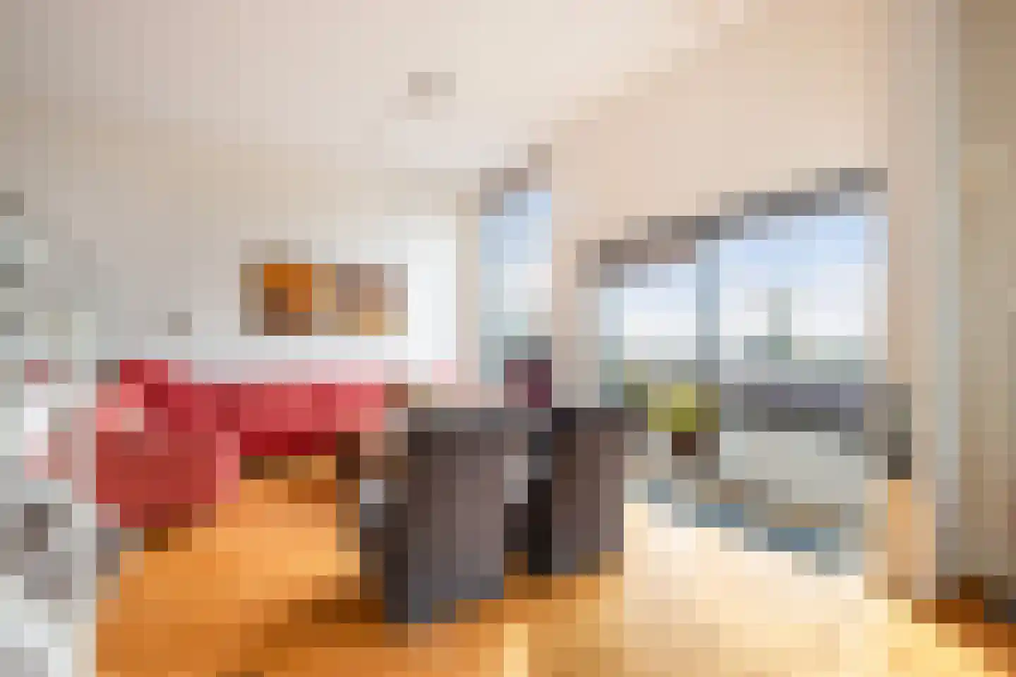 Onder de Linden 6 Krimpen aan den IJssel thumbnail 5