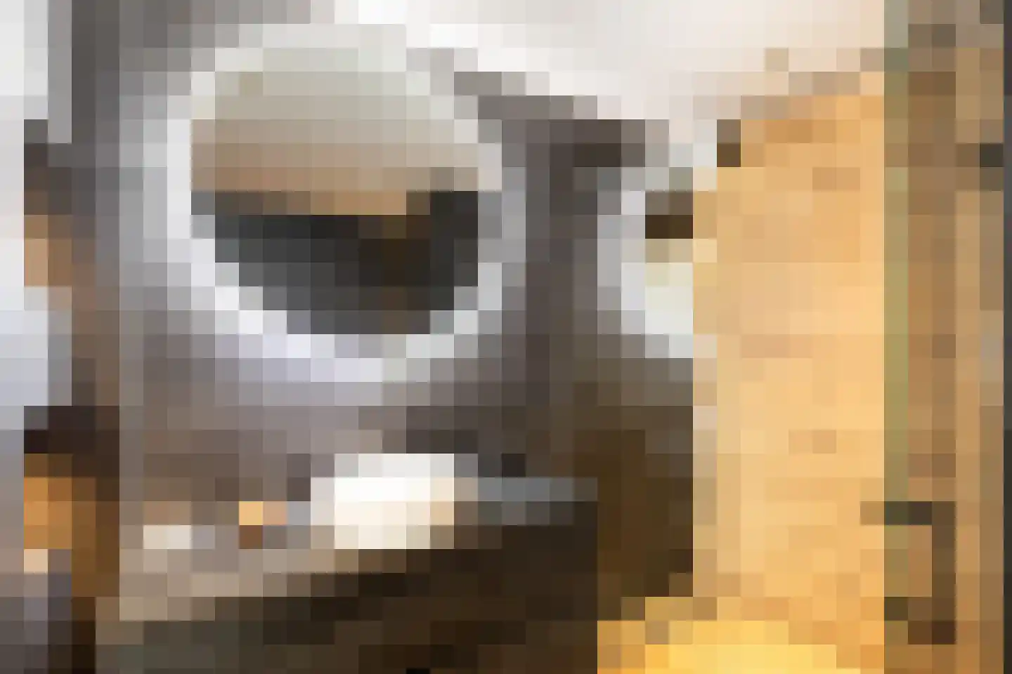 Onder de Linden 6 Krimpen aan den IJssel thumbnail 8