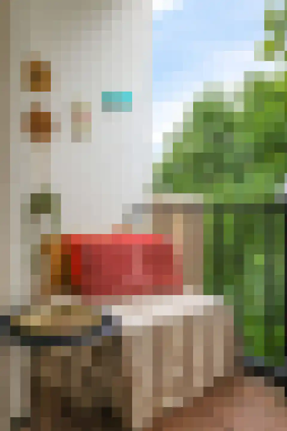 Onder de Linden 67 Arnhem thumbnail 31