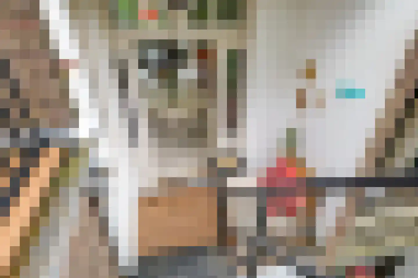 Onder de Linden 67 Arnhem thumbnail 32