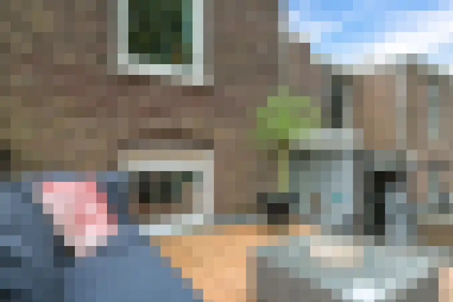 Onder de Linden 67 Arnhem thumbnail 38