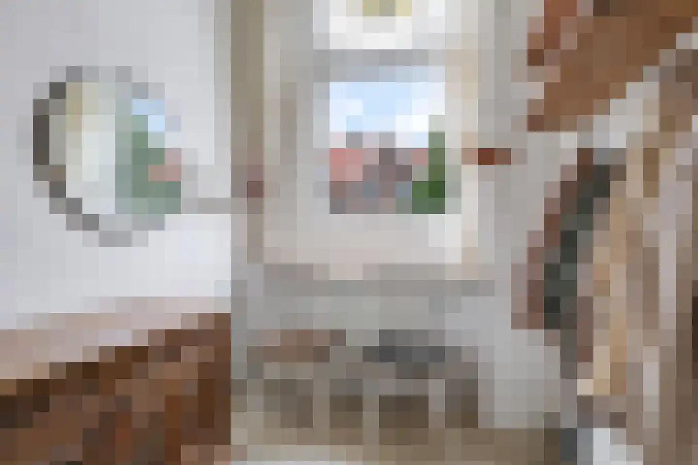 Onder de Linden 67 Arnhem thumbnail 39
