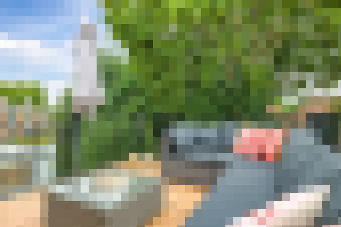 Onder de Linden 67 Arnhem thumbnail 4