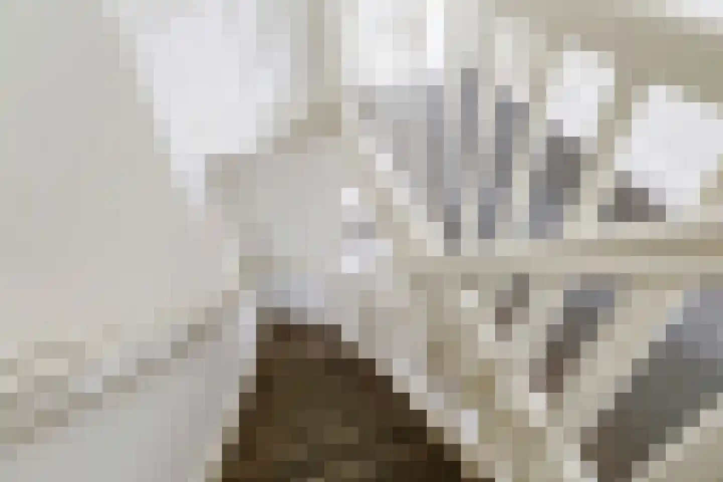 Onder de Linden 67 Arnhem thumbnail 41