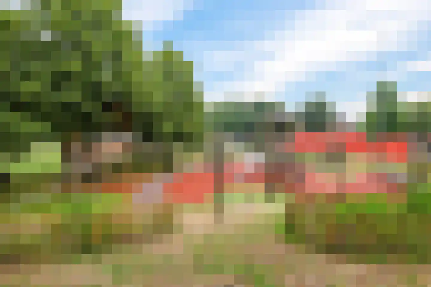 Onder de Linden 67 Arnhem thumbnail 64