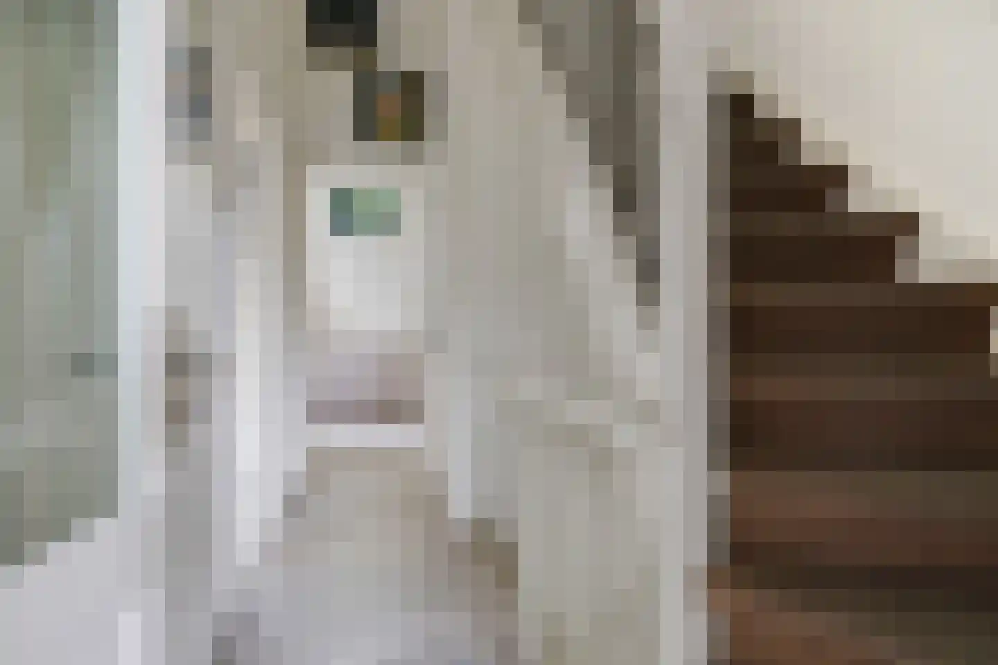 Onder de Linden 67 Arnhem thumbnail 9