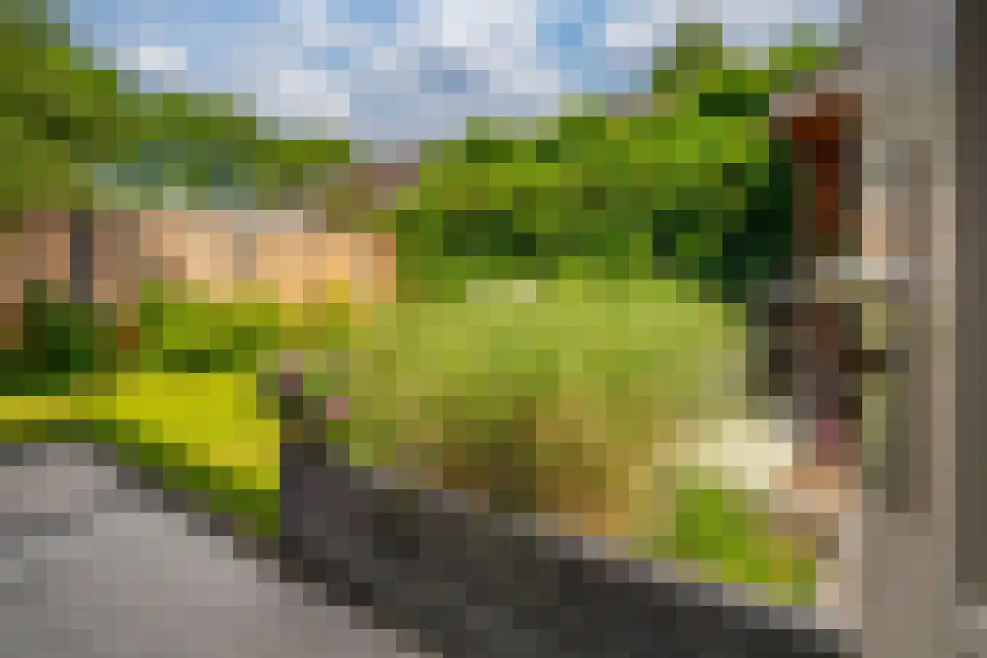 Onder de Linden 70 Zevenaar thumbnail 36
