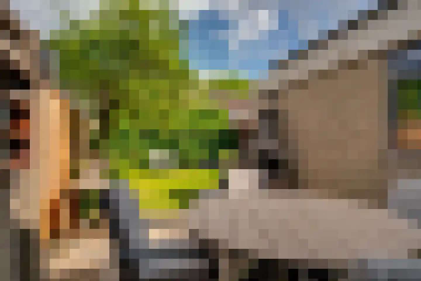 Onder de Linden 70 Zevenaar thumbnail 40