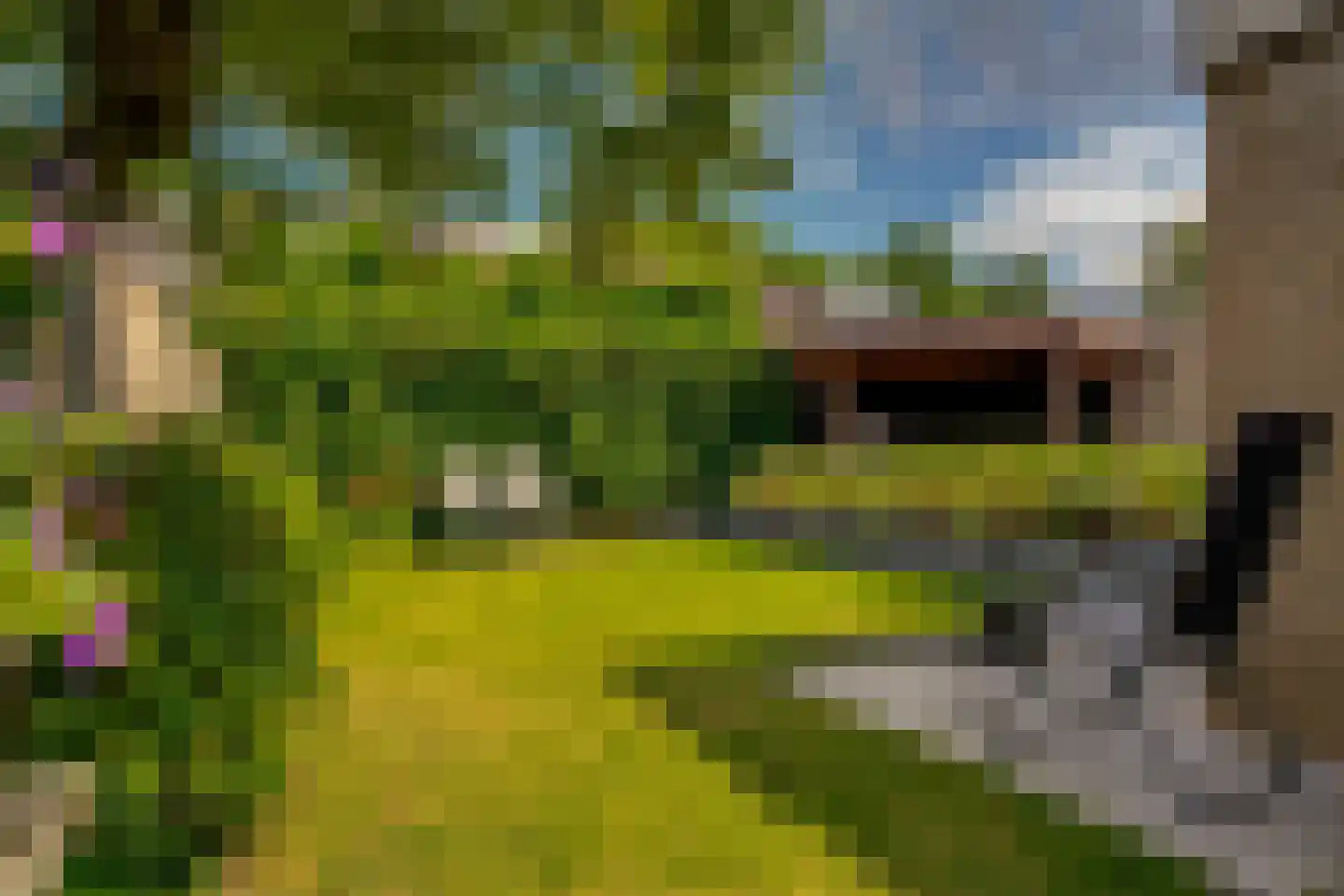Onder de Linden 70 Zevenaar thumbnail 41
