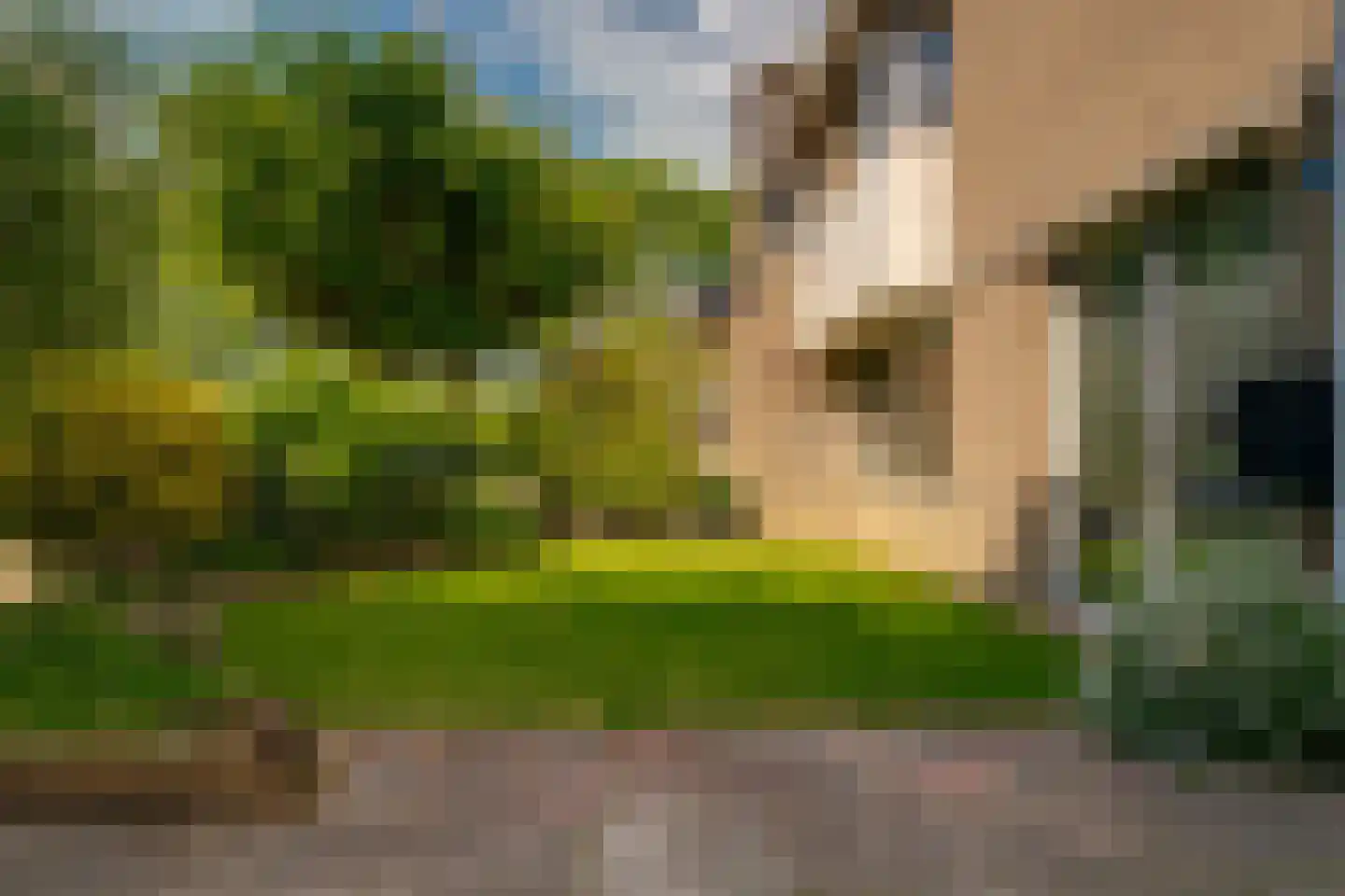 Onder de Linden 70 Zevenaar thumbnail 7