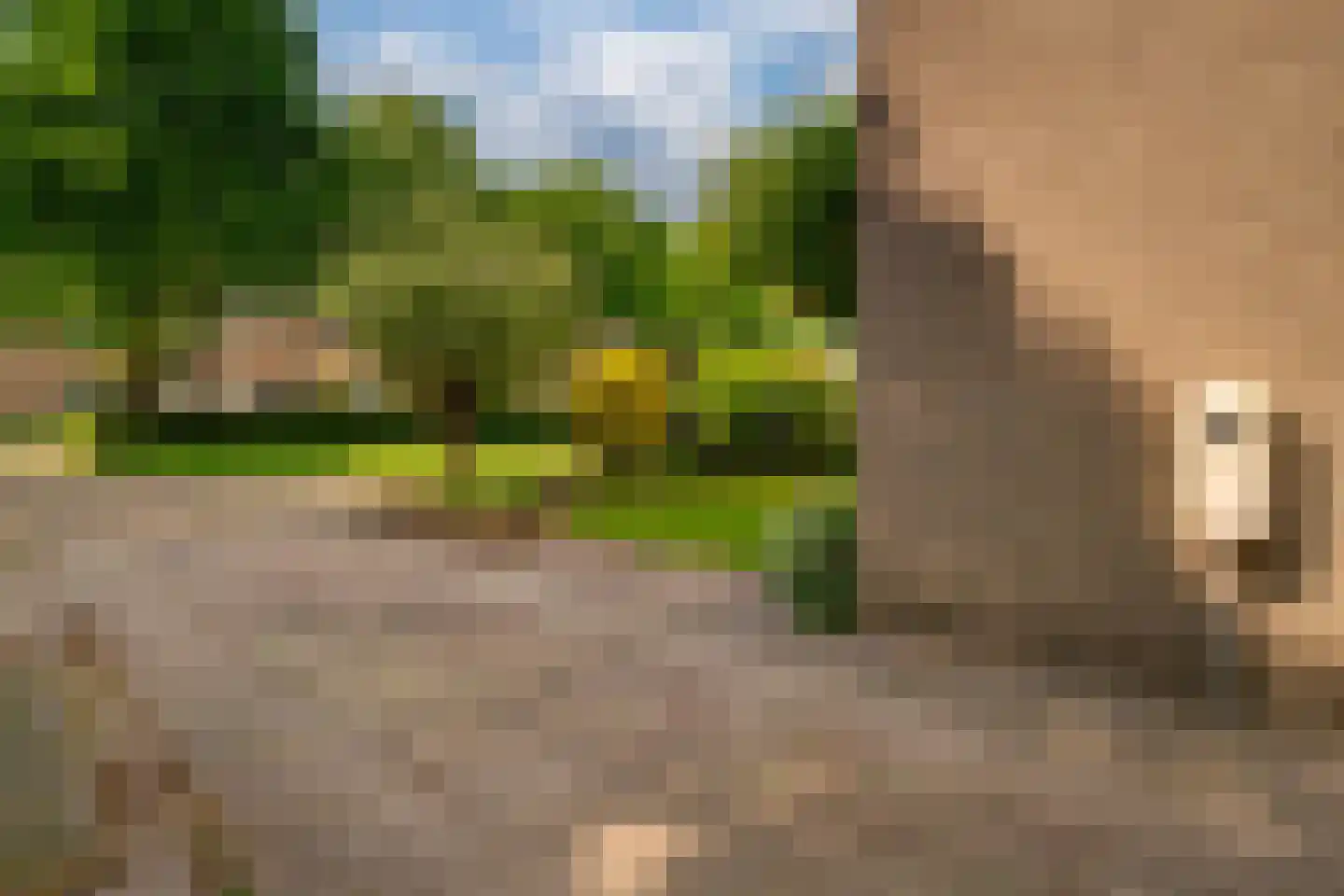 Onder de Linden 70 Zevenaar thumbnail 8