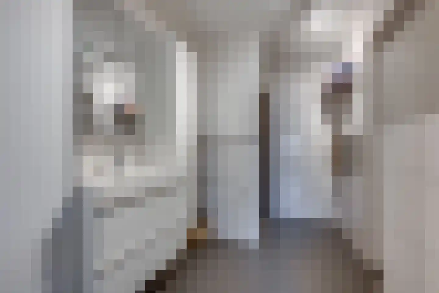 Onder de Mast 9 Zundert thumbnail 15