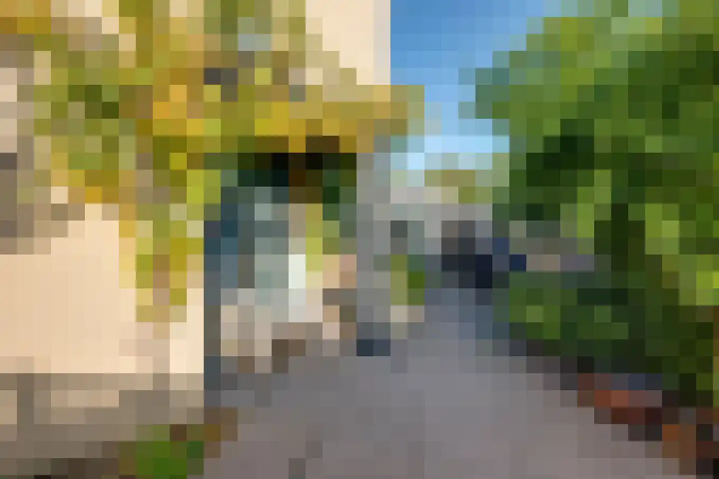 Onder de Mast 9 Zundert thumbnail 21