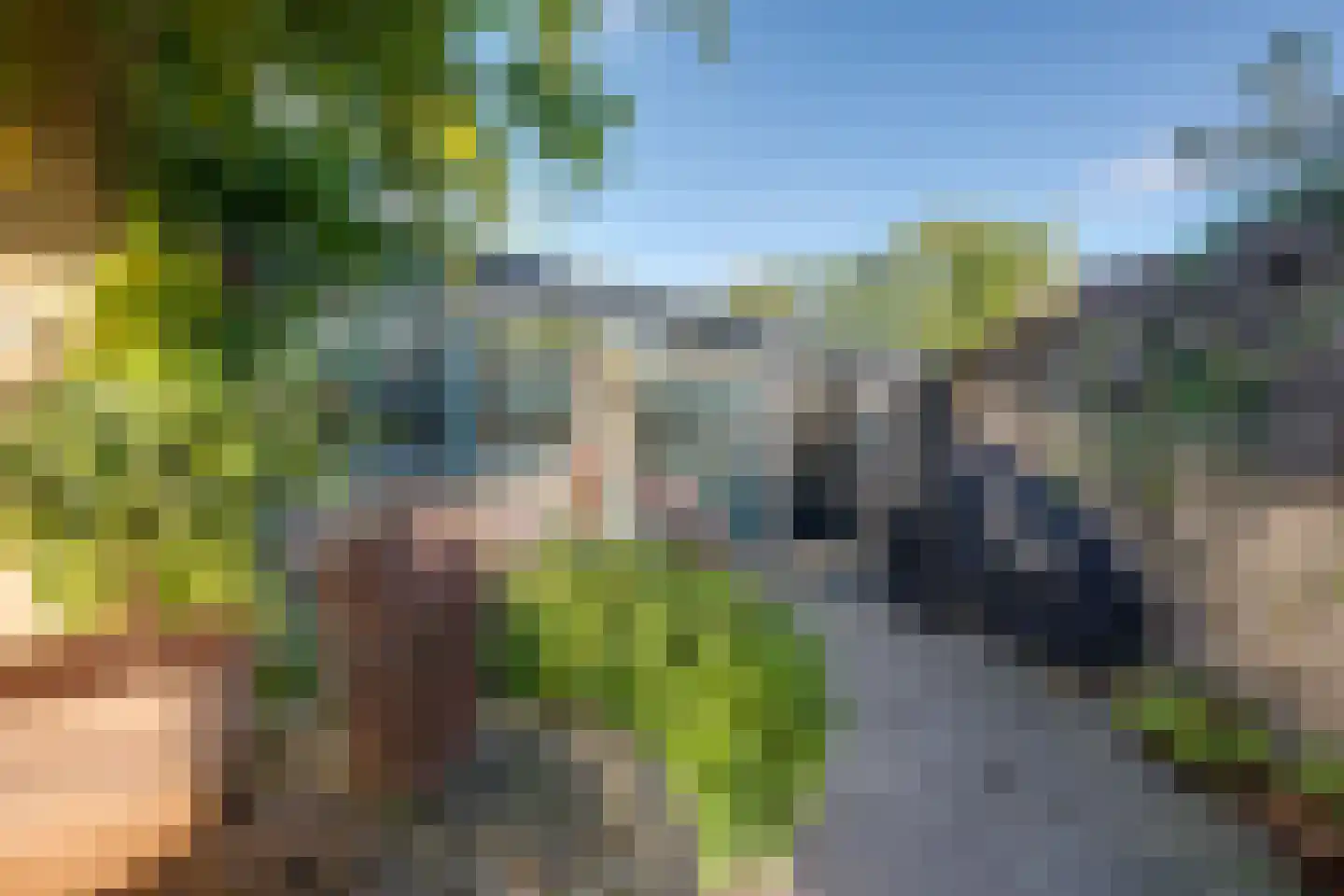 Onder de Mast 9 Zundert thumbnail 22