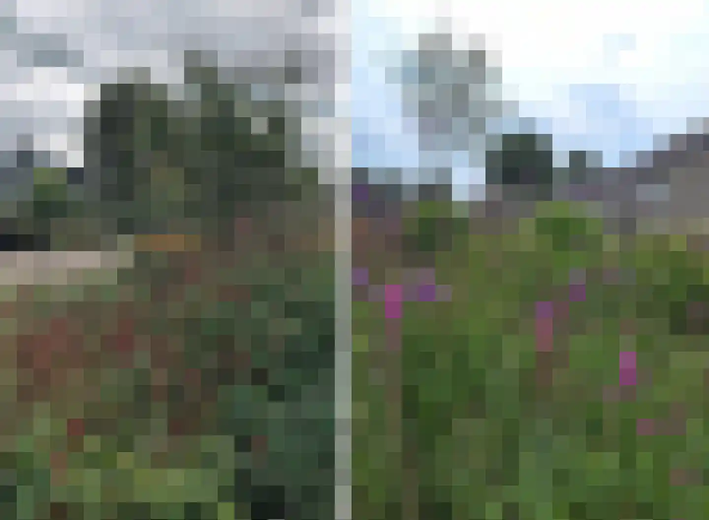 Onder de Mast 9 Zundert thumbnail 26