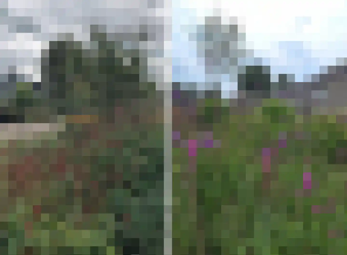 Onder de Mast 9 Zundert thumbnail 4