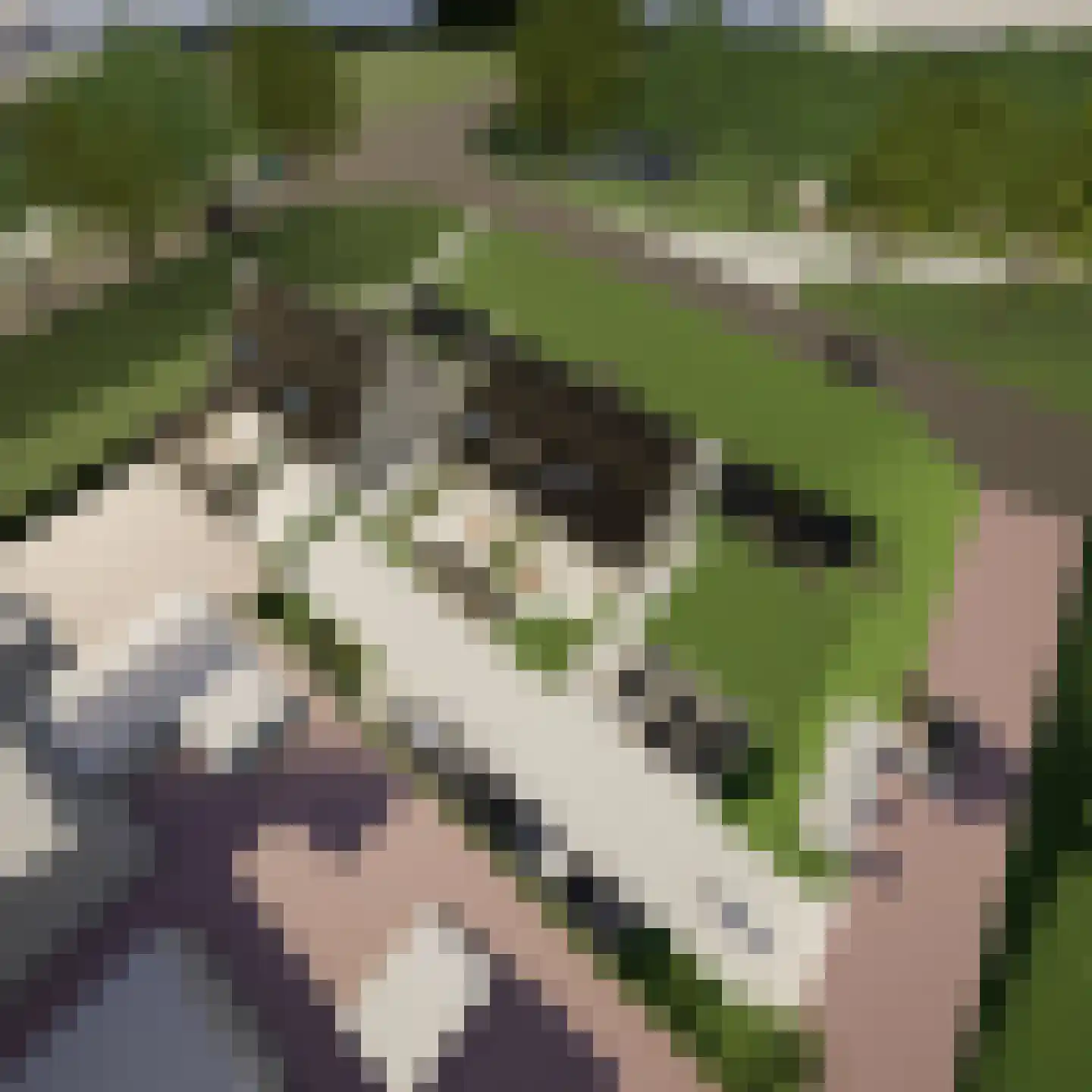 Onder de molen 2 's-Gravendeel thumbnail 4