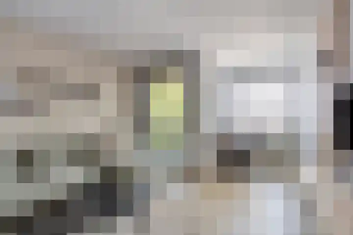 Onder de molen 22 's-Gravendeel thumbnail 10
