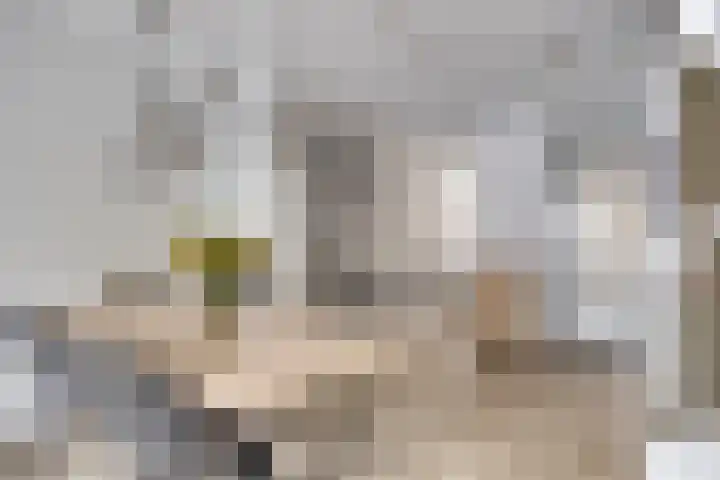 Onder de molen 22 's-Gravendeel thumbnail 12